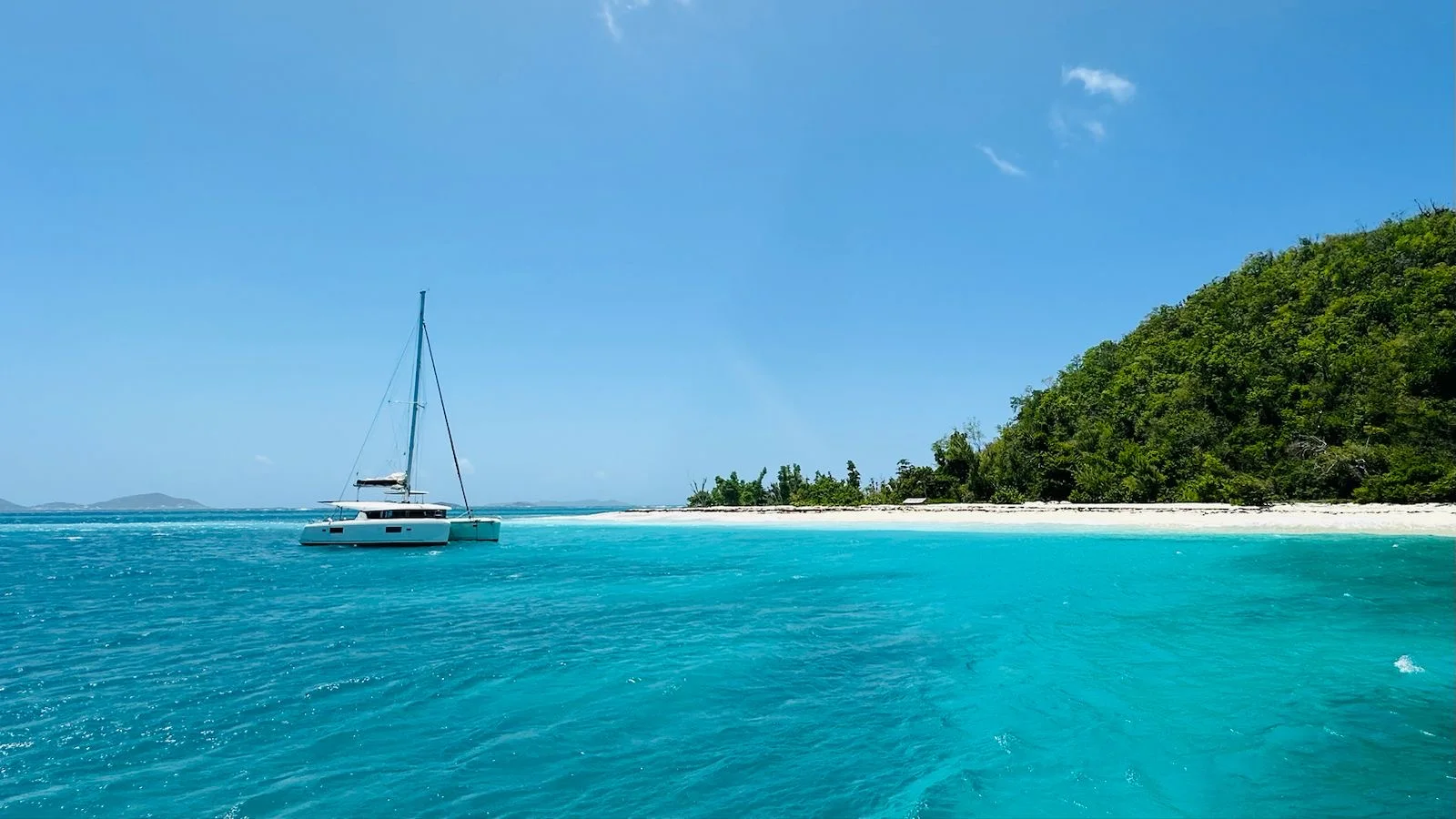 Catamaran au large d’une plage bordée de palmiers
