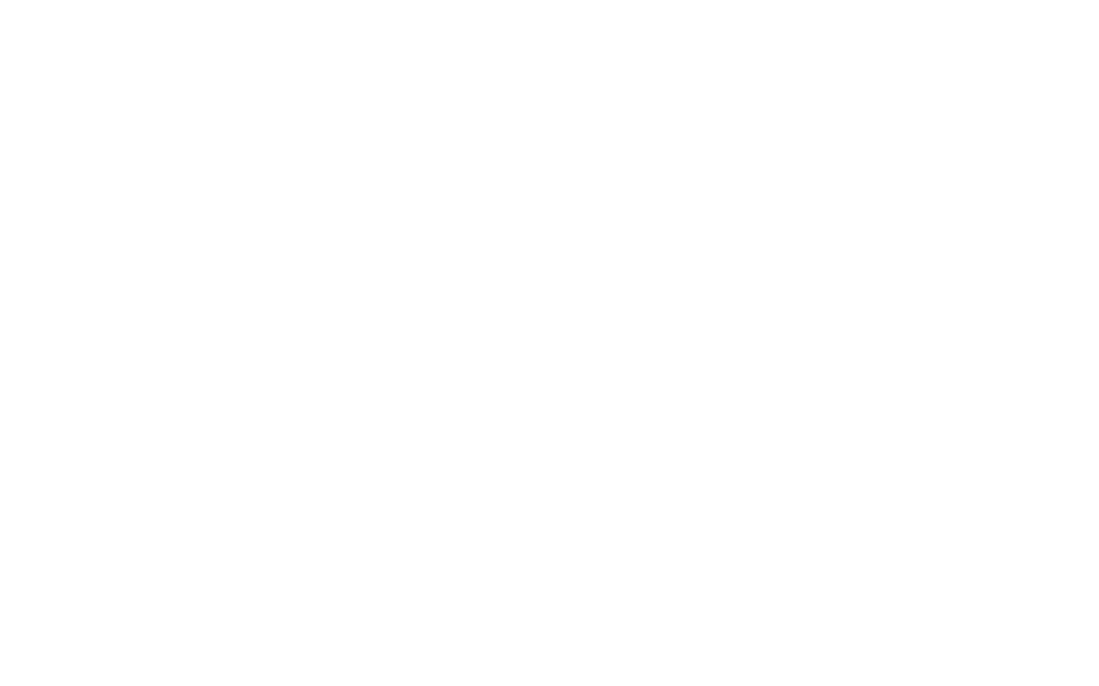 Logo Celvine